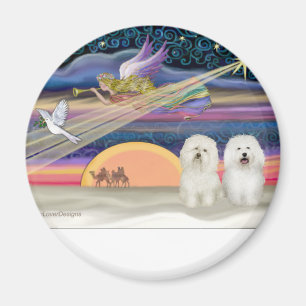 Weihnachtsstern - Bologneser (zwei) Magnet