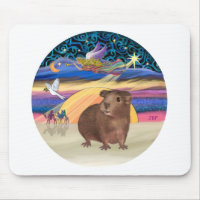 Weihnachtsstern - Guinea