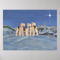 Weihnachtsstern