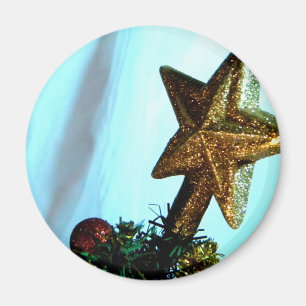 Weihnachtsstern-Spitze II Magnet