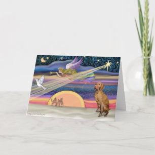 Weihnachtsstern - Viszla 1 Feiertagskarte