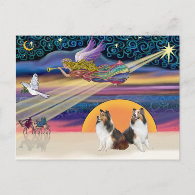 Weihnachtsstern - Zwei Shelties Feiertagspostkarte (Vorderseite)