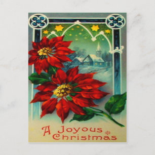 Weihnachtssterne Postkarte