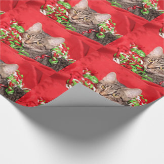 Weihnachtstabby-Miezekatzekatze Geschenkpapier