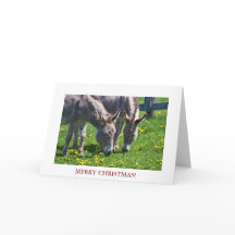 Weihnachtstiernadel