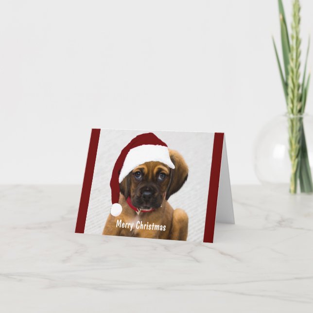 Weihnachtstitel Foto personalisiert stilvoll Karte (Vorderseite)