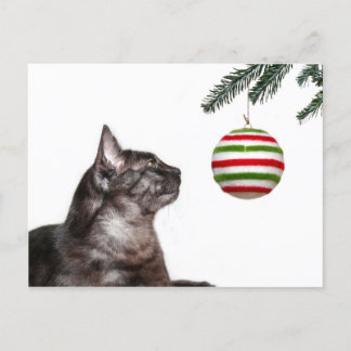 Weihnachtsverlockung Feiertagspostkarte