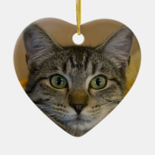 Weihnachtsverzierung: Das 1. Weihnachten der Keramik Ornament