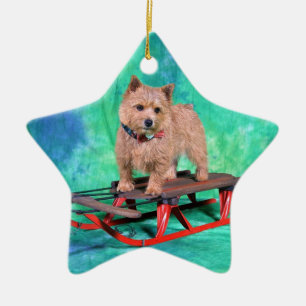 Weihnachtsverzierung Norwichs Terrier Keramikornament