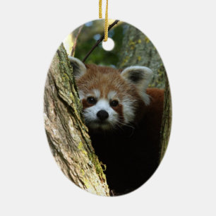 Weihnachtsverzierung - roter Panda Keramikornament