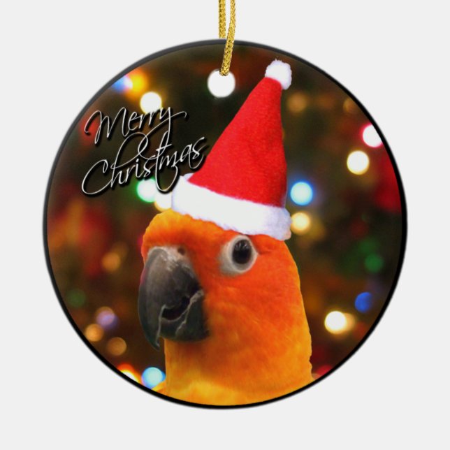 Weihnachtsverzierung Sankt Sun Conure Keramikornament (Vorne)