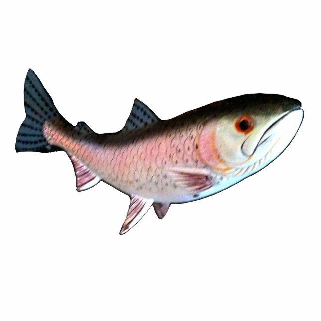 Weihnachtsverzierungs-Fisch-Lachsrosa Fotoskulptur Ornament (Vorne)