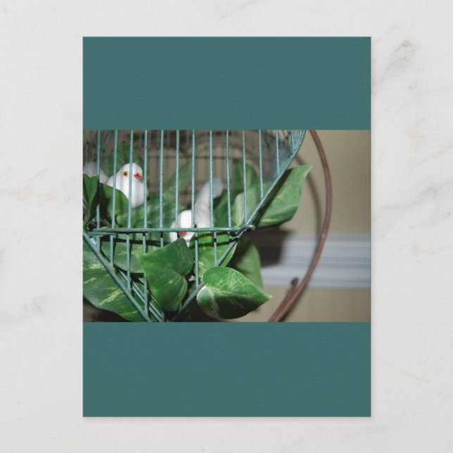 Weihnachtsvögel Feiertagspostkarte (Vorderseite)