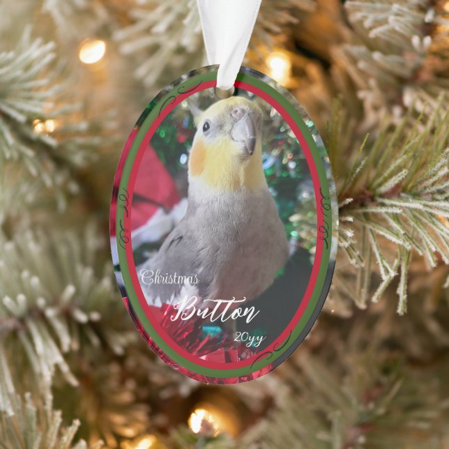 Weihnachtsvogel für Pet Acrylic individuell anpass Ornament (Baum)