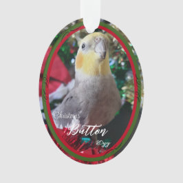 Weihnachtsvogel für Pet Acrylic individuell anpass Ornament