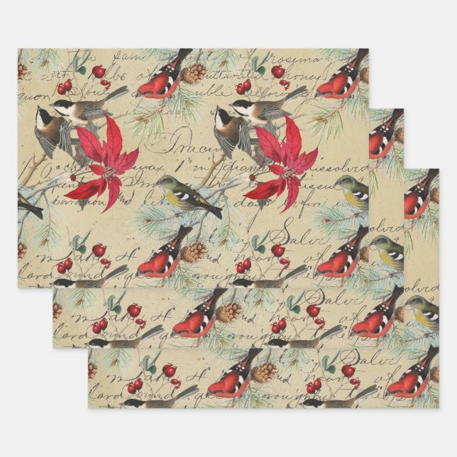 Weihnachtsvögel und Rote Poinsettia Geschenkpapier Set (Set)