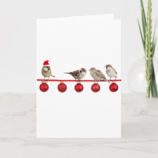 Weihnachtsvogelspatzen Feiertagskarte
