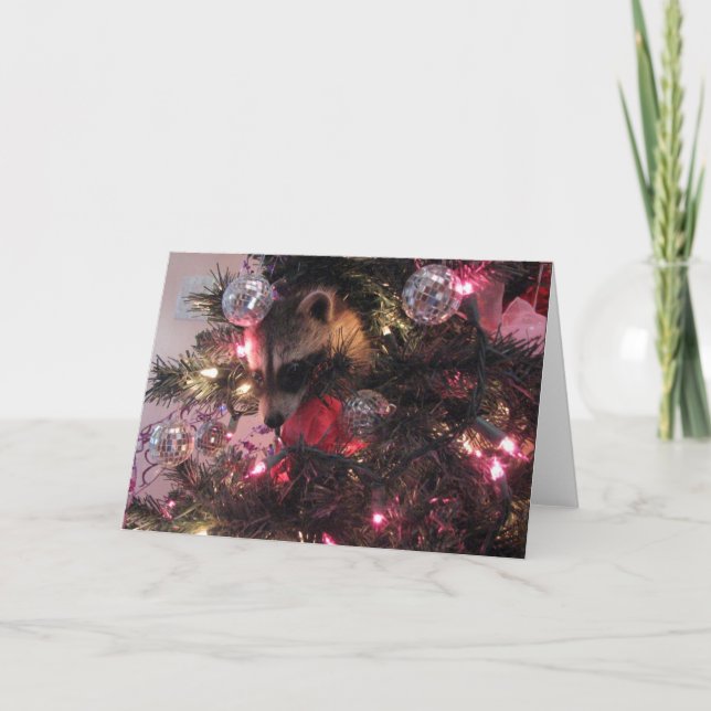 WeihnachtsWaschbär Feiertagskarte (Vorderseite)