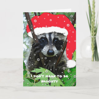 WeihnachtsWaschbär - Gruß-Karte Feiertagskarte