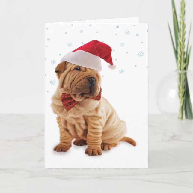 Weihnachtsweihnachtskarte Feiertagskarte (Vorderseite)