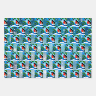 Weihnachtsweihpapier, Perfekt für Weihnachtsgesche Geschenkpapier Set