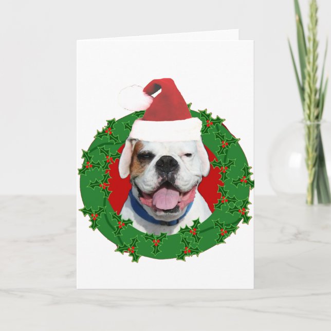 Weihnachtsweiß-Boxer Feiertagskarte (Vorderseite)