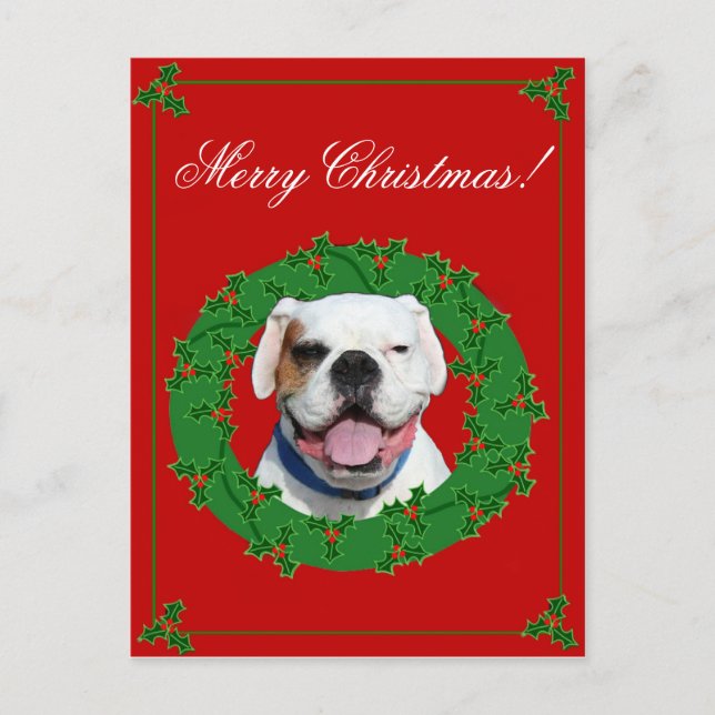 Weihnachtsweiße Boxerpostkarte Feiertagspostkarte (Vorderseite)