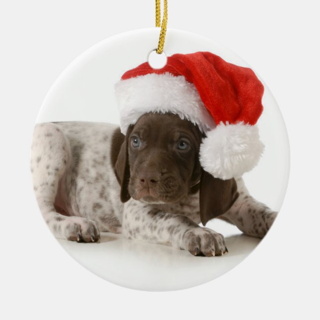 Weihnachtswelpe - deutscher kurzhaariger Zeiger Keramikornament (Vorne)