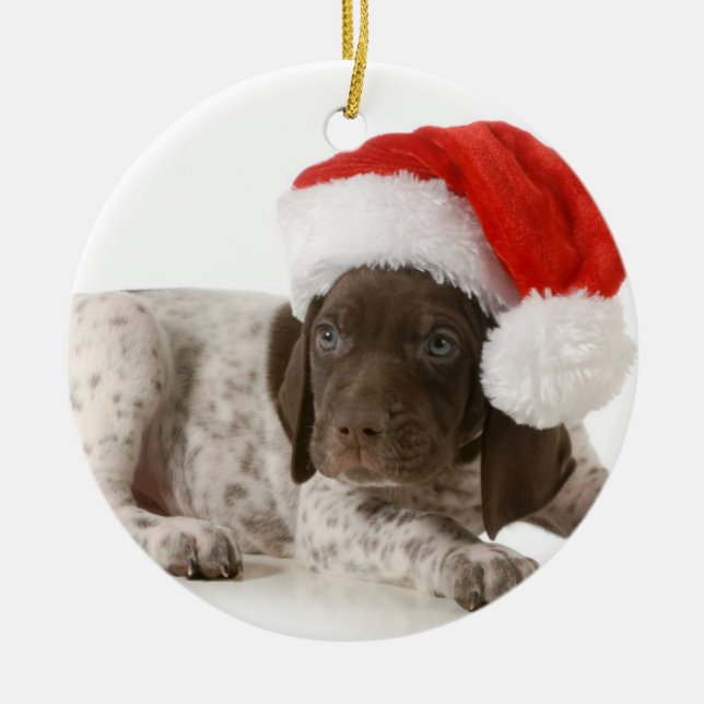 Weihnachtswelpe - deutscher kurzhaariger Zeiger Silbernes Ornament (Vorne)