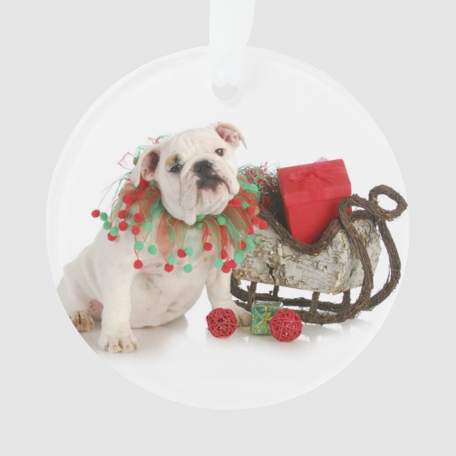 Weihnachtswelpe - englisches ornament (Vorderseite)