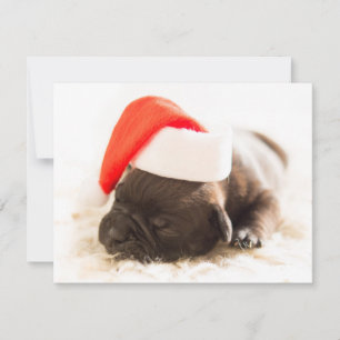 Weihnachtswelpe Feiertagskarte