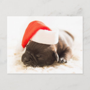 Weihnachtswelpe Feiertagspostkarte