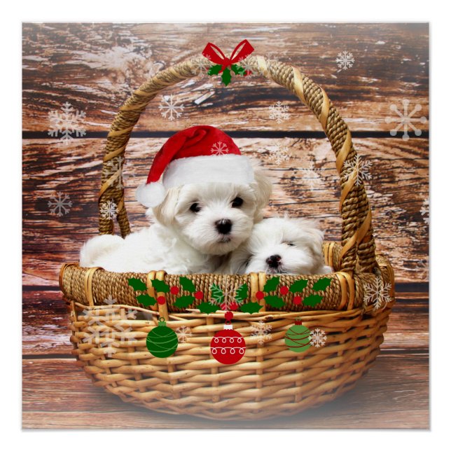 Weihnachtswelpen, bezaubernd, poster (Vorderseite)