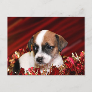 Weihnachtswelpen Feiertagspostkarte