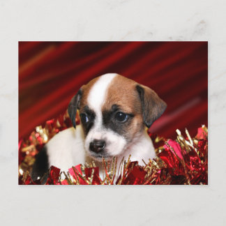 Weihnachtswelpen Feiertagspostkarte