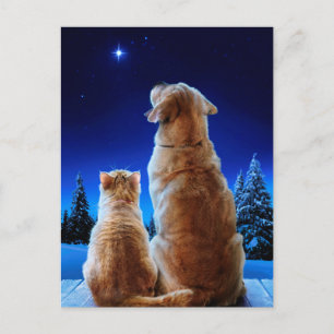 Weihnachtswunder von Katze und Hund Einladungspostkarte