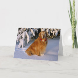 Weihnachtswünsche Feiertagskarte