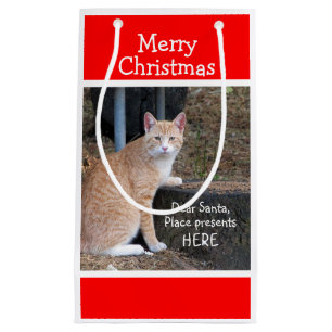 Weihnachtswünsche Orange Tabby Geschenktasche Kleine Geschenktüte