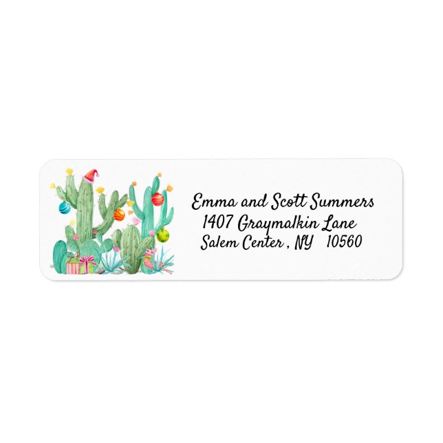 Weihnachtswüste Südwest-Kaktus Kakti-Adresse (Vorne)