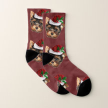 Weihnachtsyorkshire-Terrier-Hündchensocken