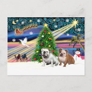 Weihnachtszauber - 2 Englische Bulldoggen Feiertagspostkarte