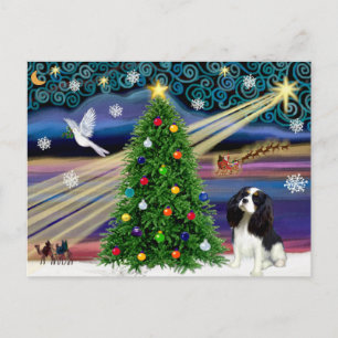 Weihnachtszauber Cavalier King Charles (Tri) Postkarte