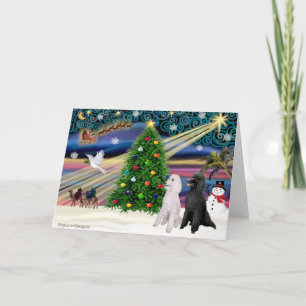 Weihnachtszauber-Pudel (zwei Standard) Feiertagskarte