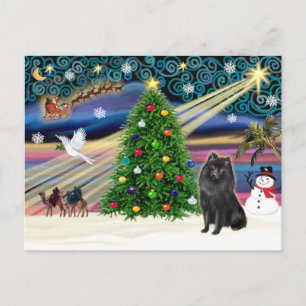 Weihnachtszauber Schipperke Feiertagspostkarte