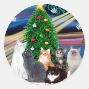 Weihnachtszauber - Sechs Katzen (Variety) Runder Aufkleber