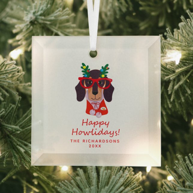 Weihnachtszeit Niedlicher Hundeschlittenurlaub Bau Ornament Aus Glas (Insitu)