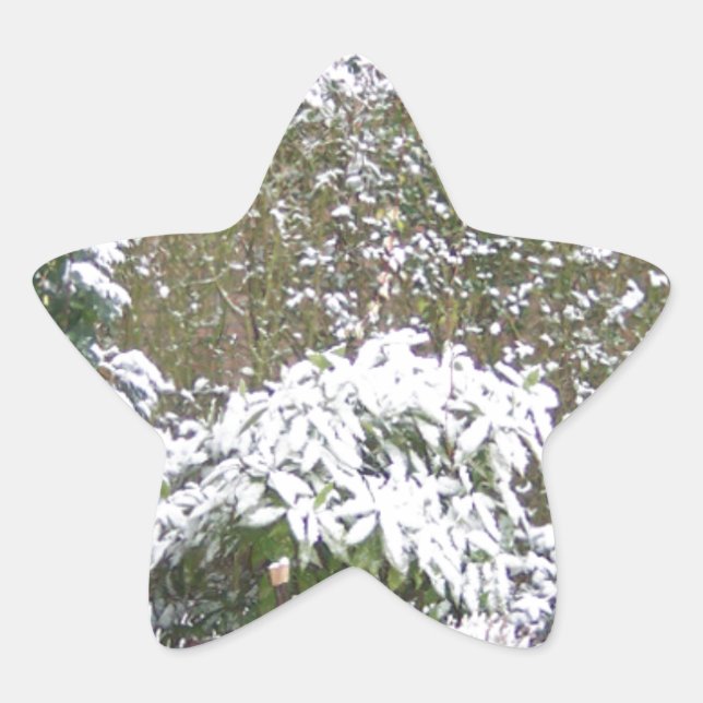 Weihnachtszeit, Schnee im Garten Stern-Aufkleber (Vorderseite)