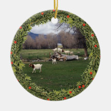 Weihnachtsziegen im Protokoll