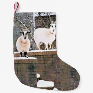 Weihnachtsziegen Kleiner Weihnachtsstrumpf