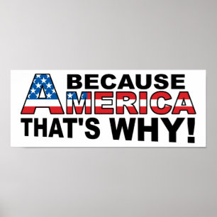 Weil Amerika Lustiges Poster